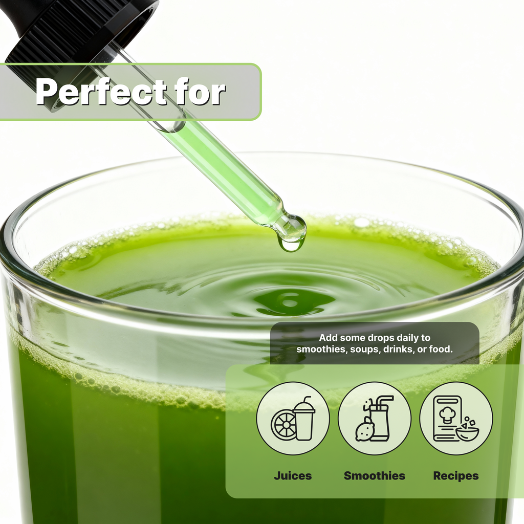 Moringa Glycerin Extract (2 oz)